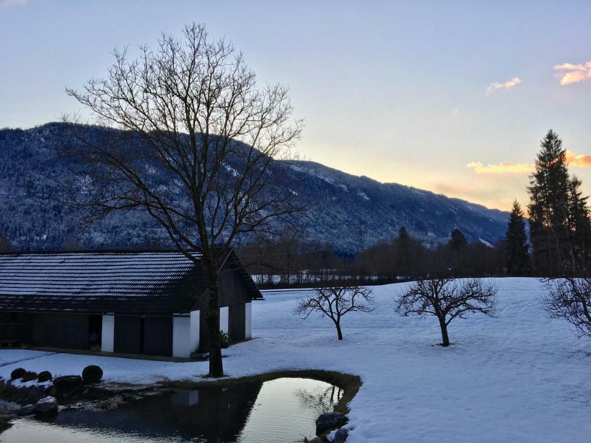 Assingerhof Daire Sankt Stefan an der Gail Dış mekan fotoğraf